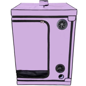 SECRET DOME - ESCÃNDALO ROXO DO CLUBE KINK